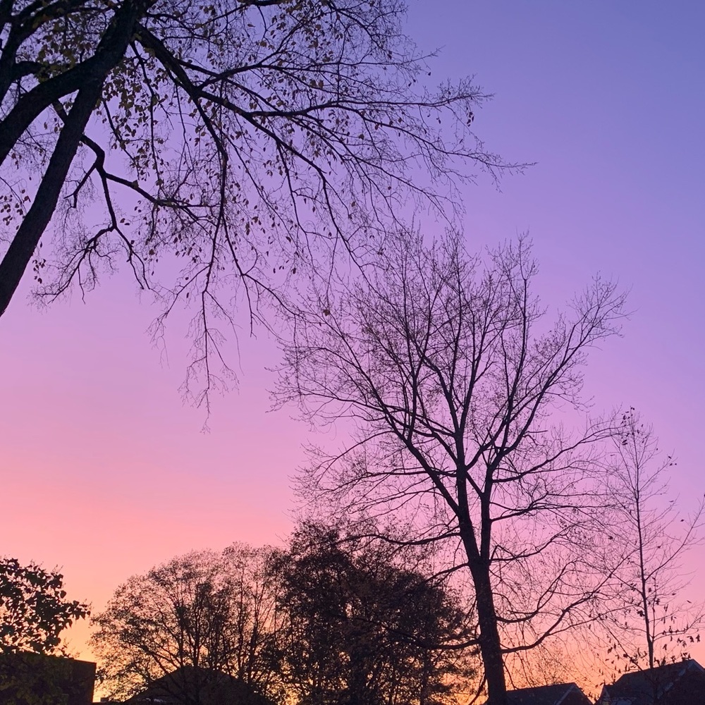 Meet your Posher, Ameila